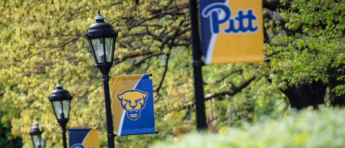 Pitt banners hang from lamp posts in Oakland